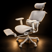 Relaxbro W200  The Summit Ergonomic Chair